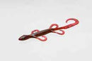 Zoom Lizard 6in 9/bag Red Bug