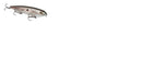 Strike King KVD Sexy Dawg 4.5in 7/8oz Green Gizzard Shad