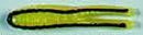 H&H Cajun Super Hook Tail 1/8 Nickle Yellow Black Stripe 12/Card