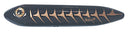 Heddon Super Spook 5in Black Shiner Shad