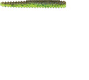 Rapala CrushCity Ned BLT 3in10ct Grn Pump Chart Pepper