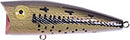 Rebel Pop-R 1/4 Baby Bass