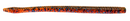 NetBaitBF Finesse Worm 4.75in Kentucky Special 20ct