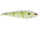 Spro SaShimmy Swimmer 125 5in 3/4oz Cell Mate