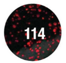 Do-It Powder Paint 2oz Black Neon