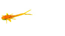 Bobby Garland Mayfly 2.25in 50ct Cajun Cricket